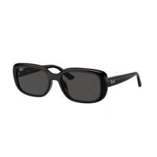 Ray-Ban RB4421D 667787