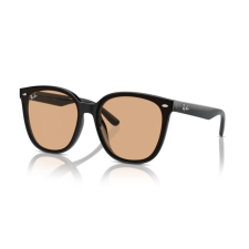 Ray-Ban RB4423D 601/93 BLACK LIGHT BROWN napszemüveg napszemüveg