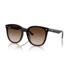 Ray-Ban RB4423D 714/13 TRANSPARENT BROWN BROWN GRADIENT napszemüveg napszemüveg
