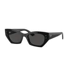 Ray-Ban RB4430 667787