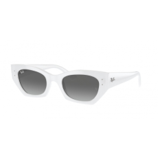 Ray-Ban RB4430 675911