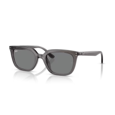 Ray-Ban RB4439D 667587 TRANSPARENT GREY GREY napszemüveg napszemüveg