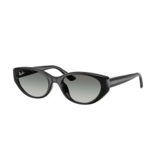 Ray-Ban RB4457D 667711
