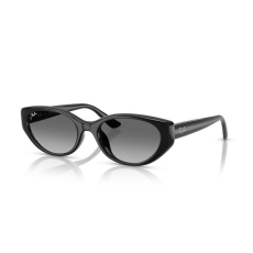 Ray-Ban RB4457D 667711 BLACK GREY GRADIENT napszemüveg