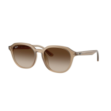 Ray-Ban RB4459D 616613 Turtledove Gradient Brown napszemüveg