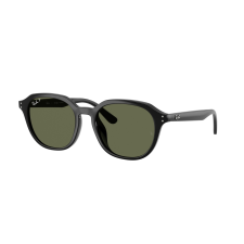 Ray-Ban RB4459D 901/9A Black Dark Green Polar napszemüveg napszemüveg