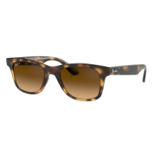 Ray-Ban RB4640 710/M2 SHINY HAVANA GRADIENT BROWN POLARIZED napszemüveg napszemüveg