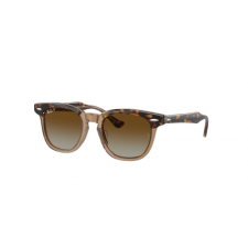 Ray-Ban RJ9098S 7152T5 napszemüveg