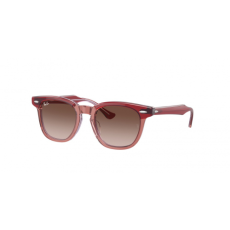 Ray-Ban RJ9098S 715413