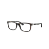 Ray-Ban RY1549 7500 Havana DEMO LENS szemüveg