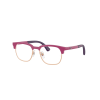 Ray-Ban RY1641 3933 Fucsia On Rose Gold DEMO LENS szemüveg