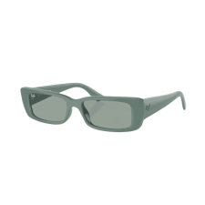 Ray-Ban Teru RB4425 676282 napszemüveg