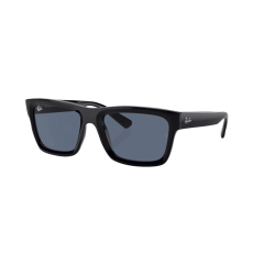 Ray-Ban Warren RB4396 667780