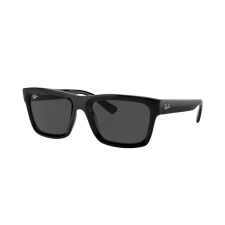 Ray-Ban Warren RB4396 667787 napszemüveg