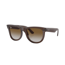 Ray-Ban Wayfarer Reverse RBR0502S 6709CB napszemüveg