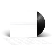 RCA Foo Fighters - But Here We Are (Vinyl LP (nagylemez)) alternatív