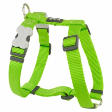 Red Dingo Lime XS Dog hám nyakörv, póráz, hám kutyáknak
