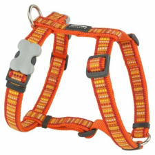 Red Dingo Lotzadotz orange XLarge Dog hám nyakörv, póráz, hám kutyáknak
