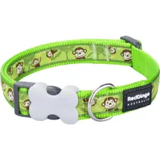 Red Dingo Monkey Lime Medium kutya nyakörv nyakörv, póráz, hám kutyáknak