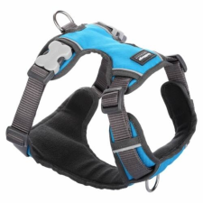 Red Dingo Padded dog hám Medium Turquoise nyakörv, póráz, hám kutyáknak