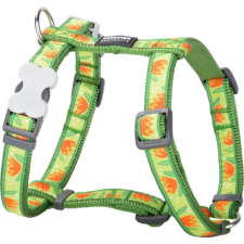 Red Dingo Tropical Green Medium kutya hám nyakörv, póráz, hám kutyáknak
