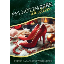 Red Zone Book Felnőttmesék téli estékre egyéb e-könyv