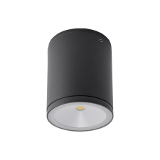 REDO Eta sötétszürke LED kültéri mennyezeti lámpa (RED-9598) LED 1 izzós IP54 kültéri világítás