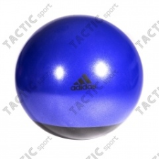 Reebok 65cm Premium gimnasztika labda sötétlila színben fitness labda