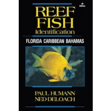 Reef Fish Identification – Ned DeLoach idegen nyelvű könyv