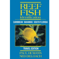 Reef Fish Identification – Paul Humann idegen nyelvű könyv