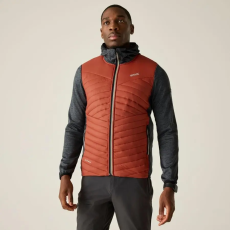 Regatta AndrsnMarlHy Férfi hibrid kabát színes