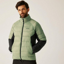 Regatta Dalent Férfi bélelt kabát zöld férfi kabát, dzseki
