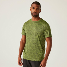 Regatta Fingal Edition férfi gyorsan száradó póló színes