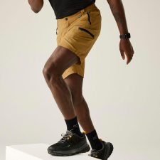 Regatta LeesvilleShrt III Férfi technikai short barna férfi rövidnadrág