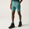 Regatta Mountain Shorts Férfi technikai short színes