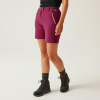 Regatta Mountain ShortsII női technikai short színes