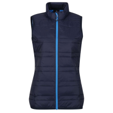Regatta RETRA857 WOMEN&#039;S FIREDOWN DOWN-TOUCH INSULATED BODYWARMER M munkaruha