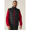 Regatta RETRA892 NAVIGATE THERMAL BODYWARMER L