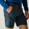 Regatta XertStretchShorts Férfi technikai short színes
