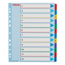 Regiszter ESSELTE A/4 maxi laminált karton újraírható 1-12 regiszter és tartozékai