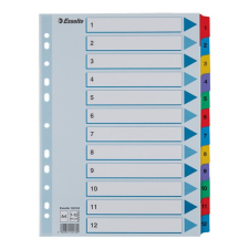 Regiszter ESSELTE Mylar A/4 karton 1-12 regiszter és tartozékai