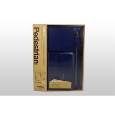 REMAX Pedestrian iPad Air Bőrtok Kék tablet tok