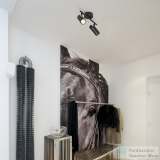Rendl BOGARD II fali lámpa matt fekete 230V LED 2x5W 40° 3000K R12503 világítás