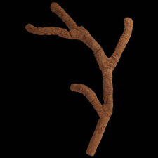 ReptiPlanet Repti Planet Coco troncho - dekoráció (kókuszrost ág) terráriumokba (120cm) hüllőfelszerelés