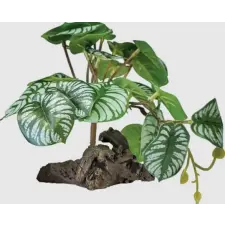 Repto | PLANT ON DECO BEGONIA | Műnövény dekoráció, begónia - 19x19xx19 cm kisállatfelszerelés