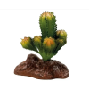 Repto | PLANT SUCCULENT ON DECO | Műnövény dekoráció - 10 cm