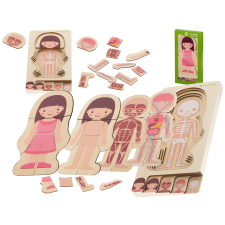 Réteges fa puzzle az emberi test felépítése Montessori lányoknak puzzle, kirakós