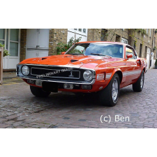  Revell '70 Shelby Mustang GT500 1:25 (07729) makett