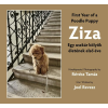 Révész Tamás, Joel Revesz - Ziza