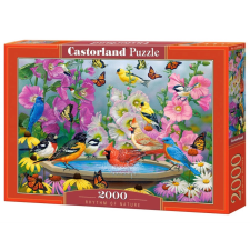 Rhythm of Nature 2000 darabos kirakó puzzle, kirakós